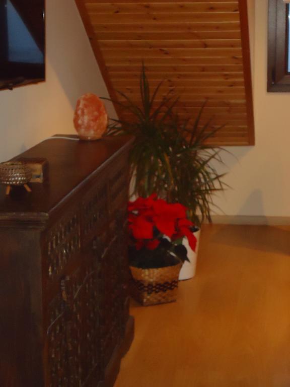 Petralona Apartment Agios Athanasios 외부 사진